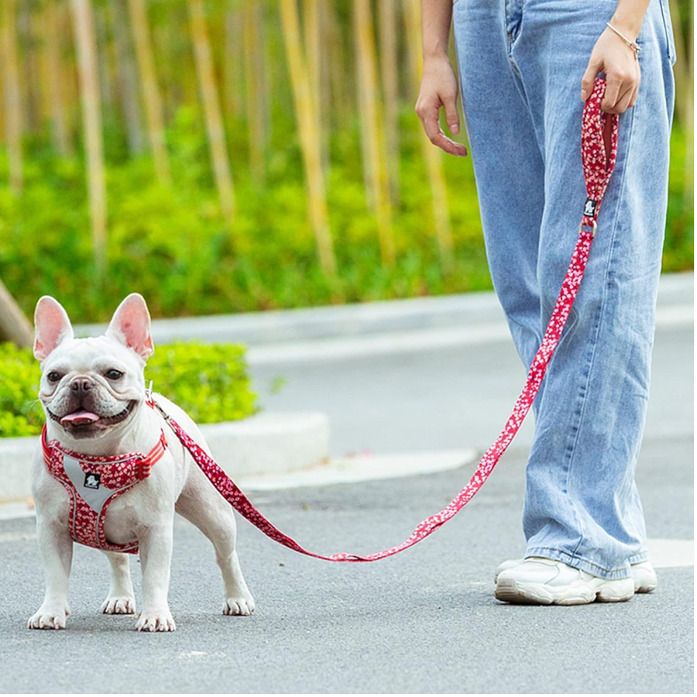 True Love Floral Multi Handle Dog Lead Red S