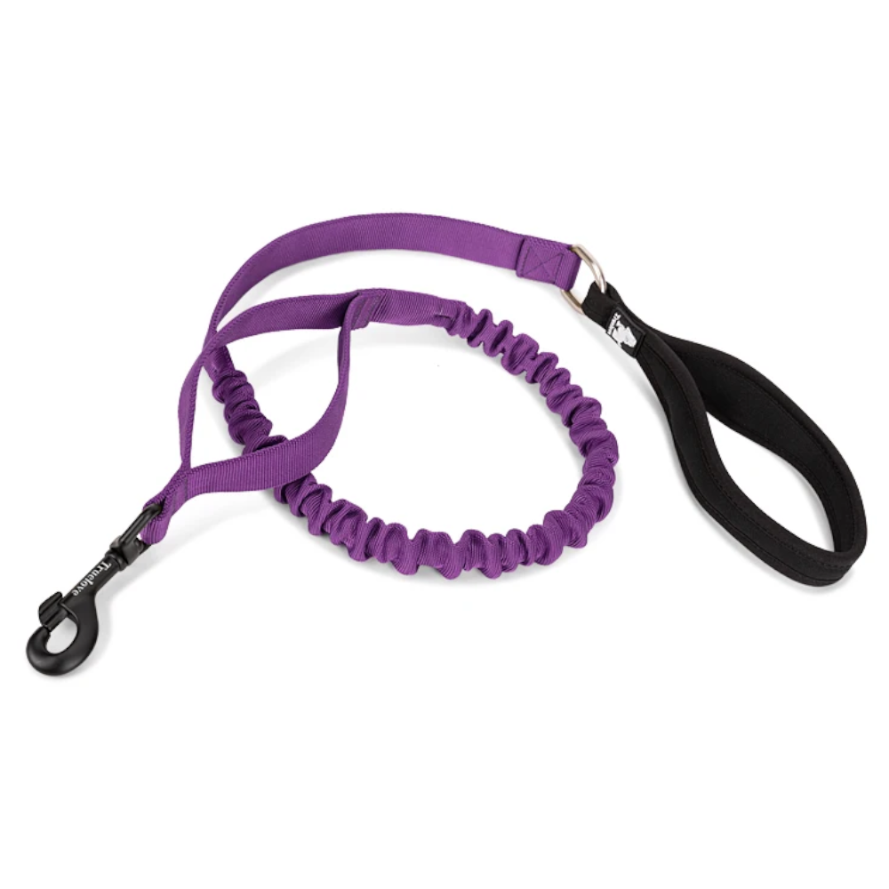 True Love Military Dog Leash 2.5 Cm Width And 1.4 Length Purple