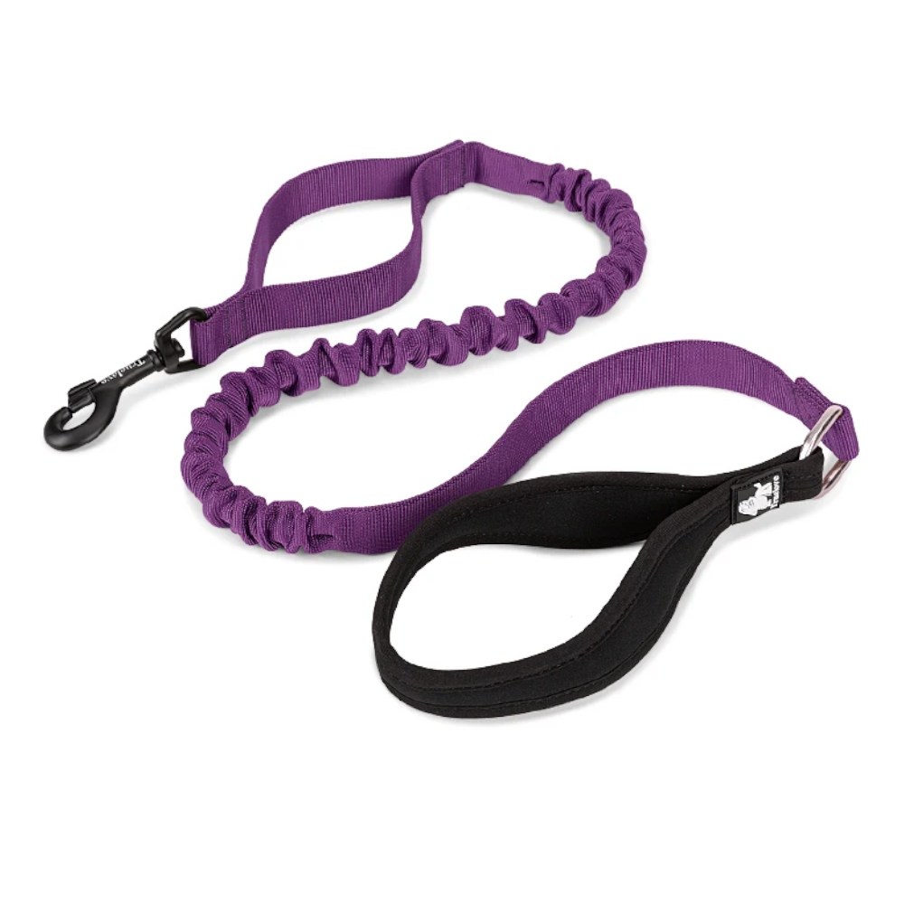True Love Military Dog Leash 2.5 Cm Width And 1.4 Length Purple