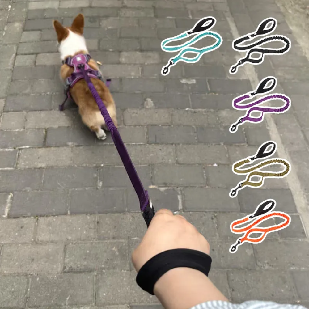True Love Military Dog Leash 2.5 Cm Width And 1.4 Length Purple