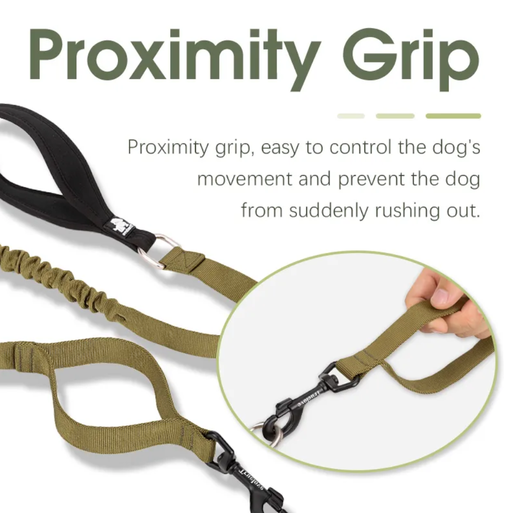 True Love Military Dog Leash 2.5 Cm Width And 1.4 Length Purple
