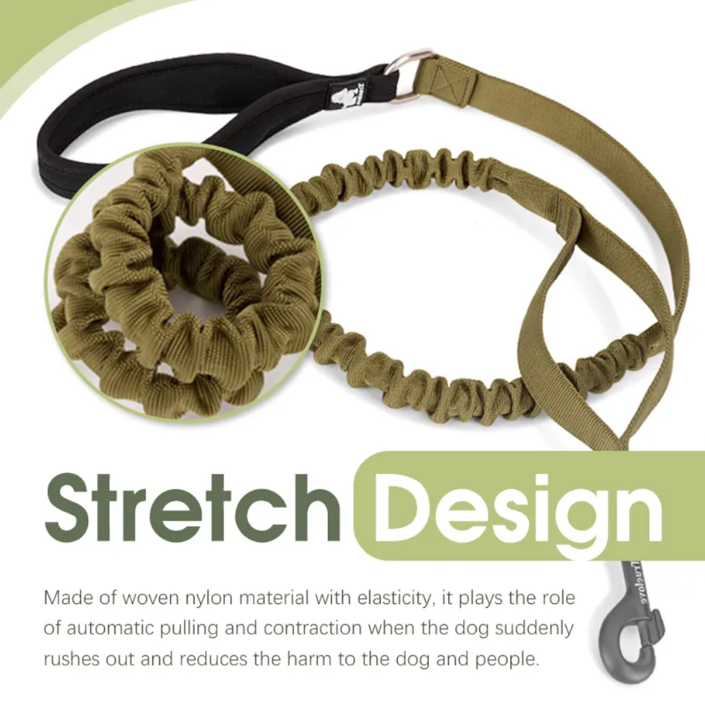 True Love Military Dog Leash 2 Cm Width And 1.4 Length Army Green