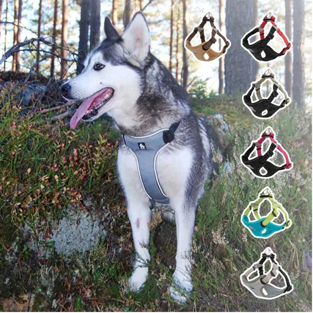True Love Urban Dog Harness Pink M