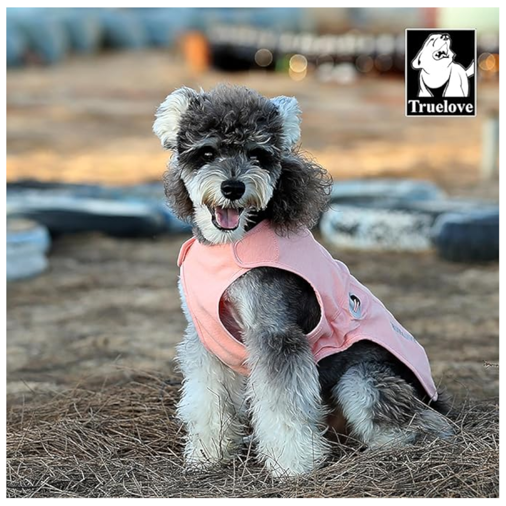 True Love Dog Coat Dusty Pink Xs