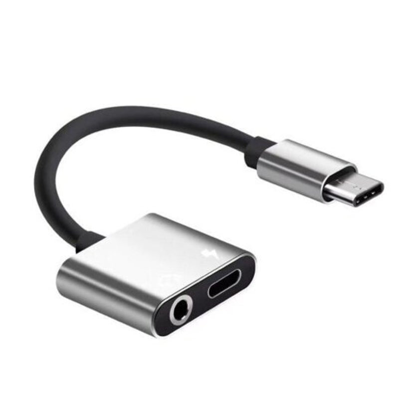 Usb C To 3.5Mm Earphone Type Female Power Charging Combo Adapter Converter Silver