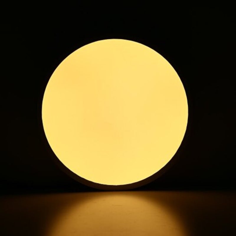 Ut30 Smart Voice Control Led Ceiling Light 18W Ac 220V White 30Cm