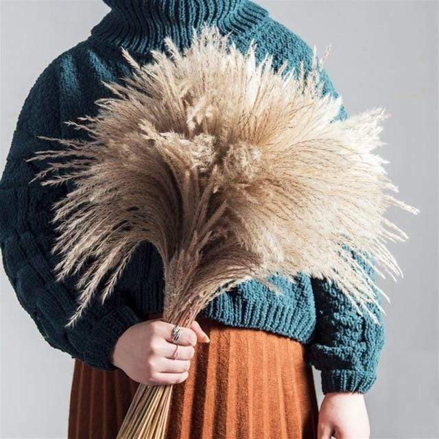 Pampas Grass Simple Home Decor