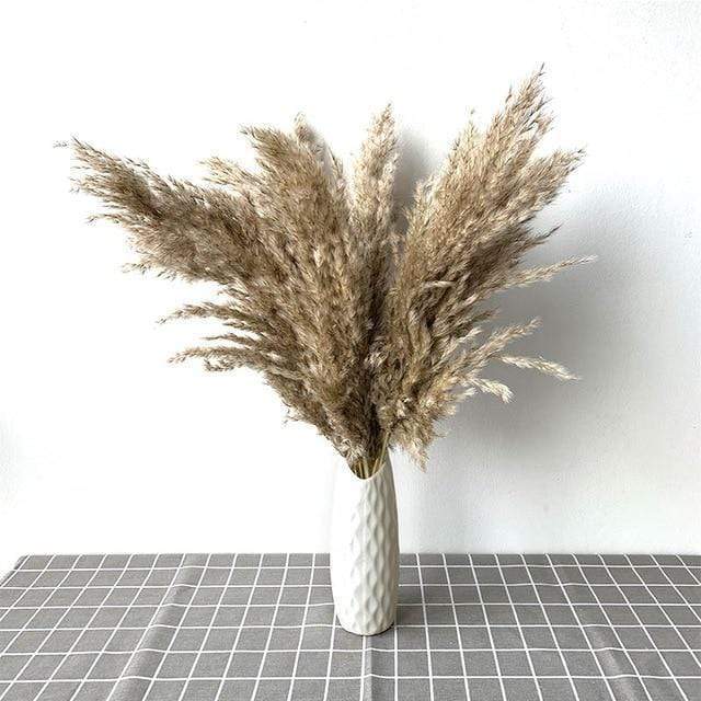 Pampas Grass Simple Home Decor