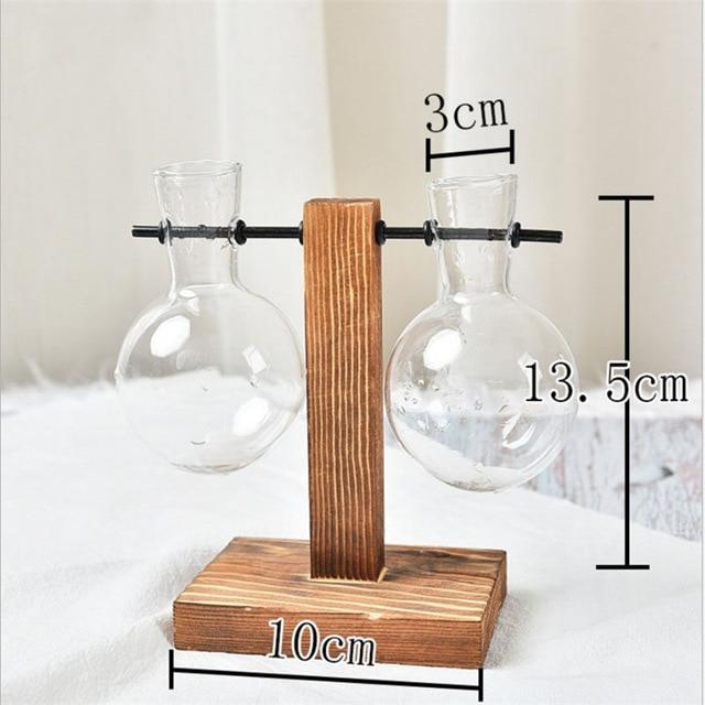 Duo Terrarium Vase Indoor Plants Decor