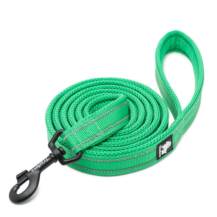 Reflective Pet Leash 2 Meters Green Xs