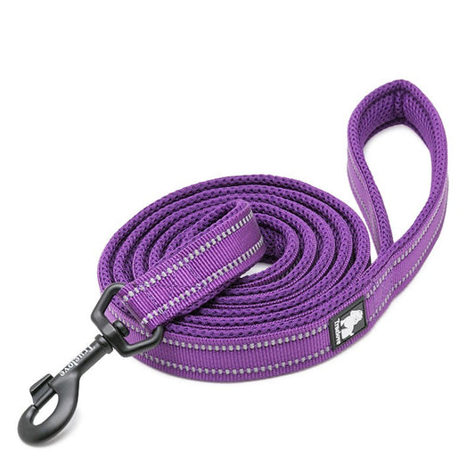 Reflective Pet Leash 2 Meters Purple