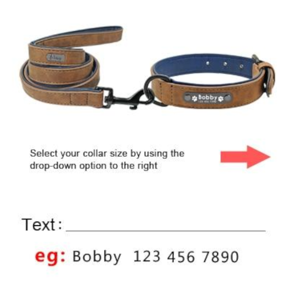 Vibrant Colours Personalized Dog Collars Leashes