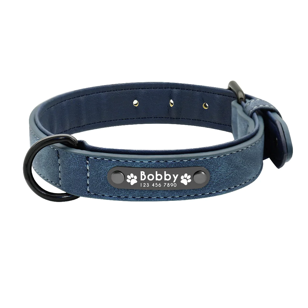 Vibrant Colours Personalized Dog Collars Leashes