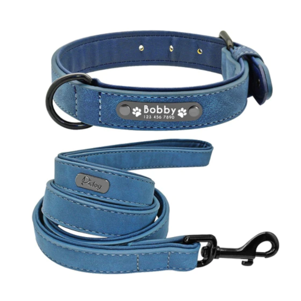 Vibrant Colours Personalized Dog Collars Leashes