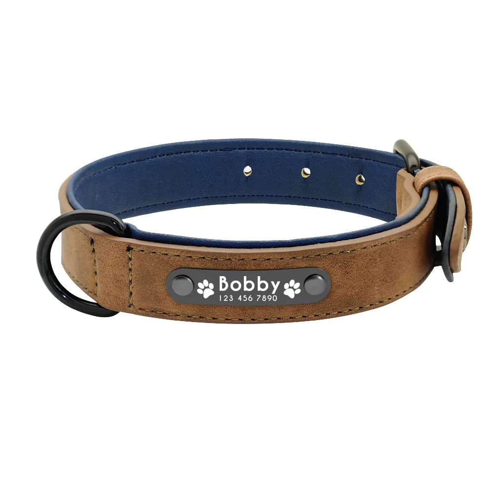 Vibrant Colours Personalized Dog Collars Leashes