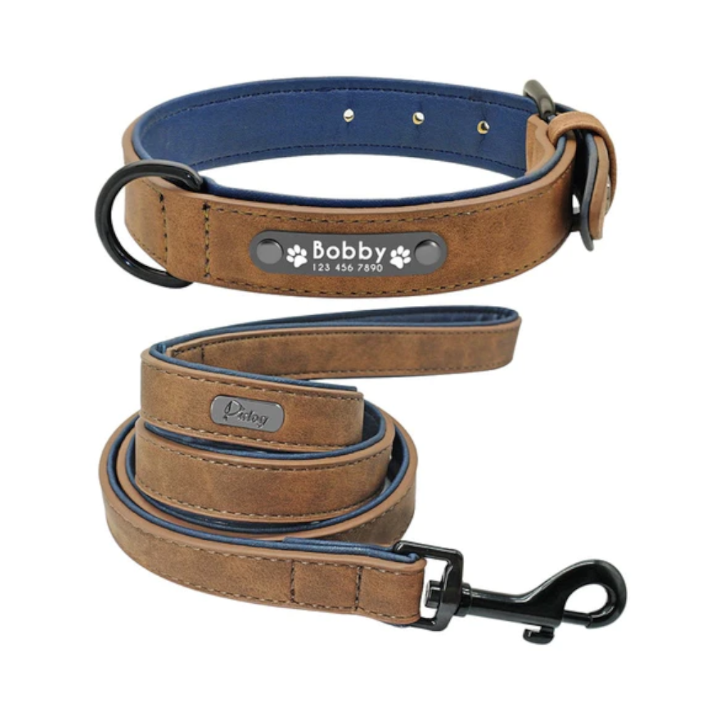 Vibrant Colours Personalized Dog Collars Leashes