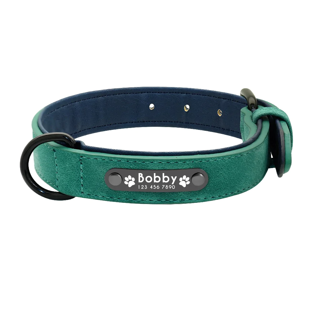 Vibrant Colours Personalized Dog Collars Leashes