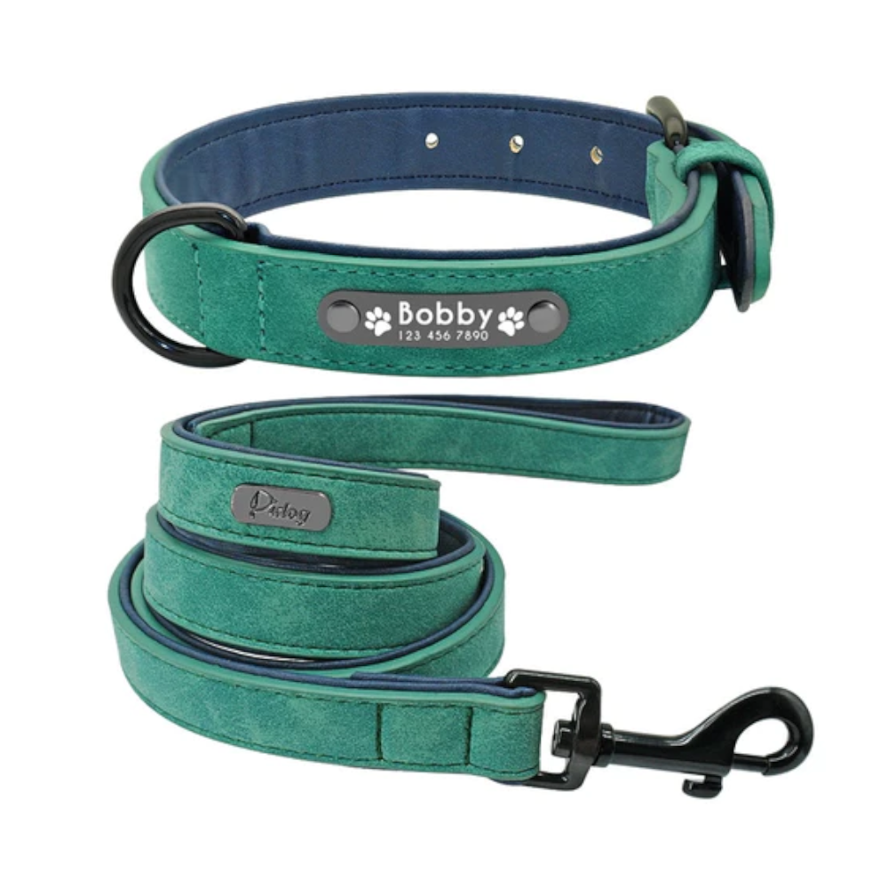 Vibrant Colours Personalized Dog Collars Leashes
