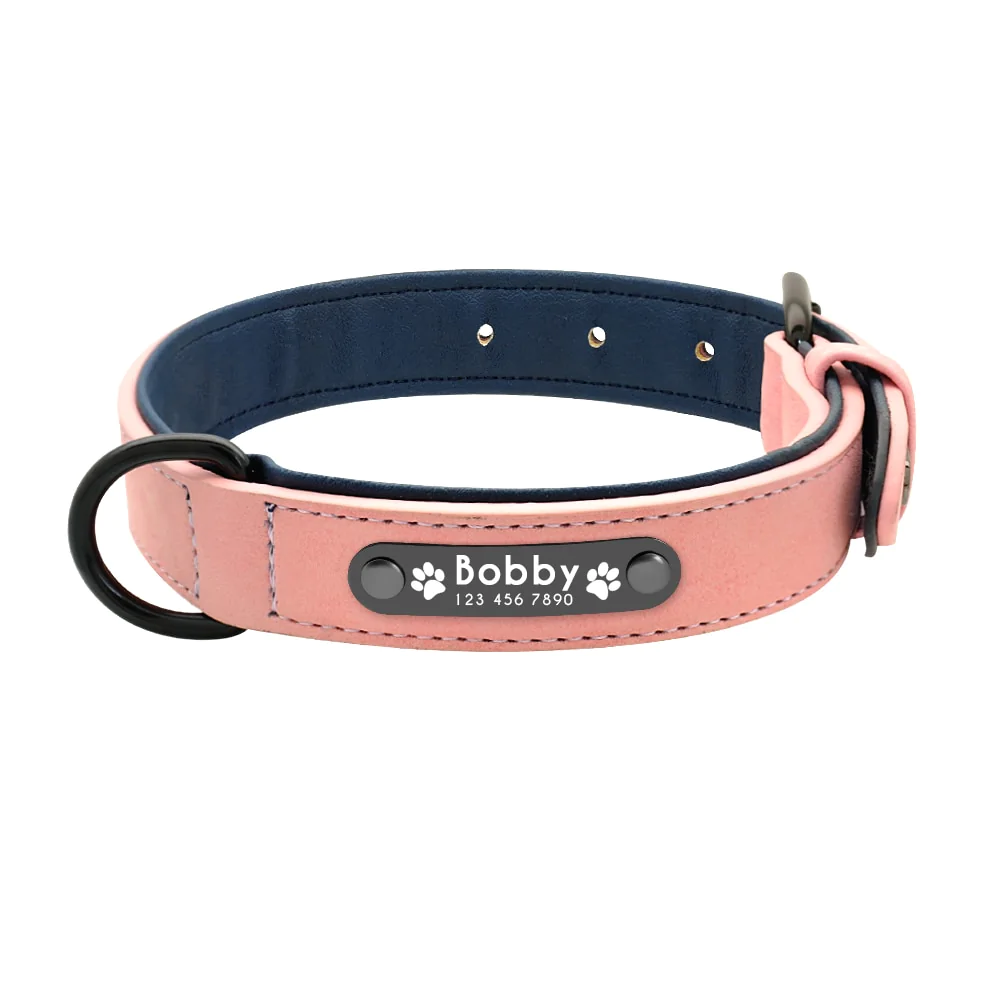 Vibrant Colours Personalized Dog Collars Leashes