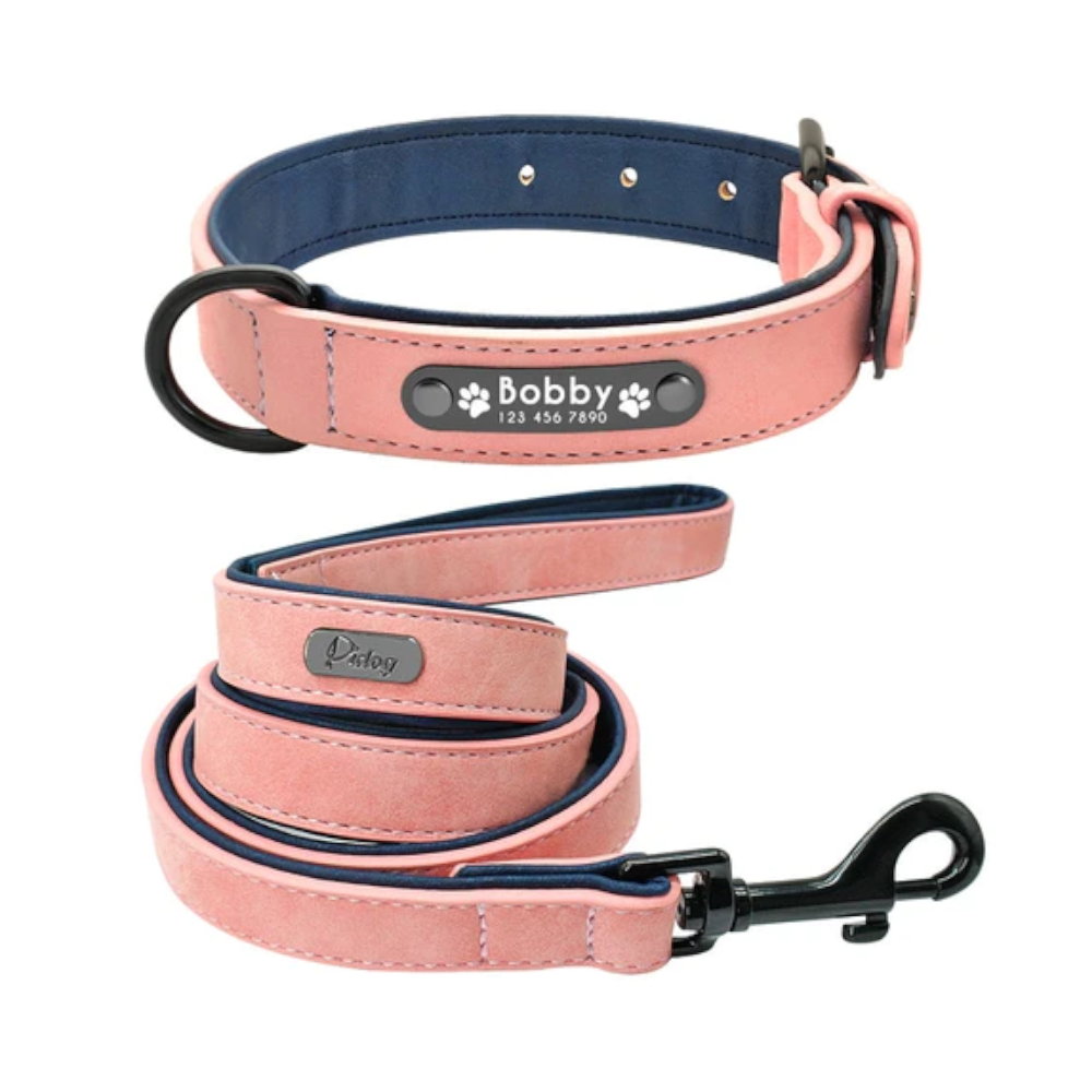 Vibrant Colours Personalized Dog Collars Leashes