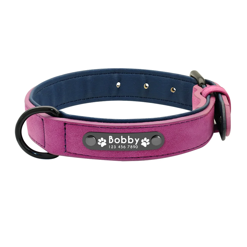Vibrant Colours Personalized Dog Collars Leashes