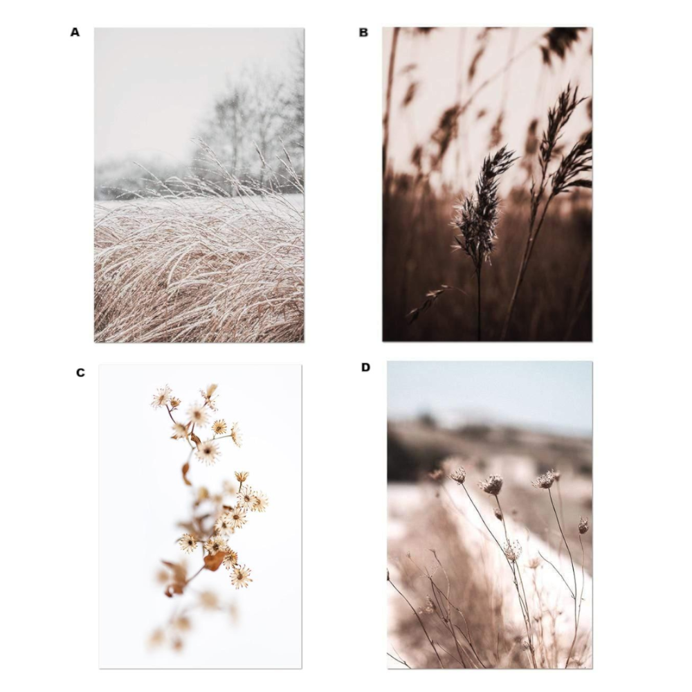 Whimsical Canvas Vintage Botanical Grass Wall Art Home Decor