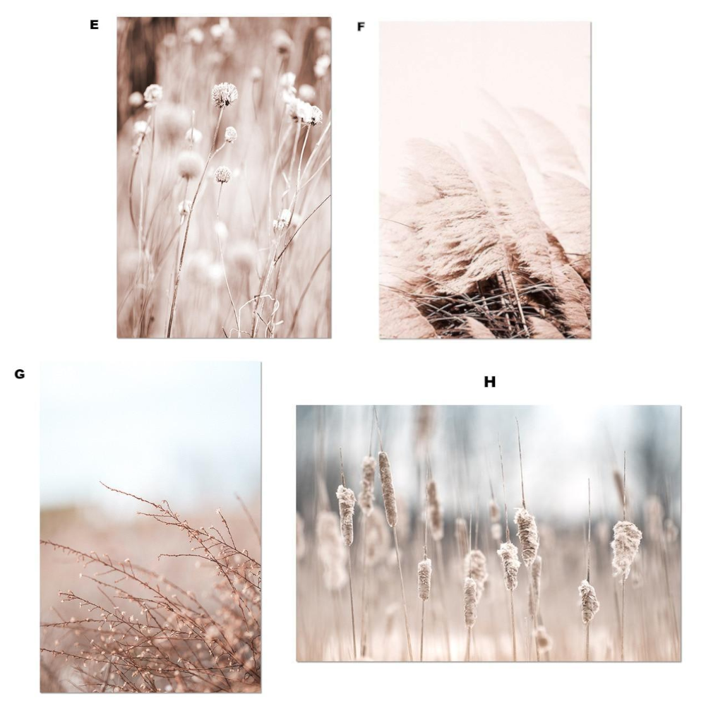 Whimsical Canvas Vintage Botanical Grass Wall Art Home Decor