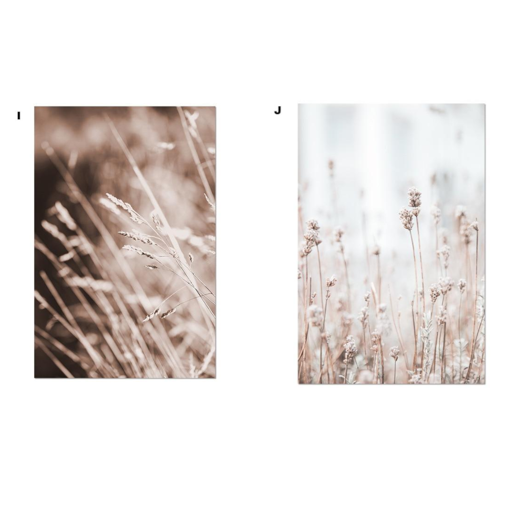 Whimsical Canvas Vintage Botanical Grass Wall Art Home Decor