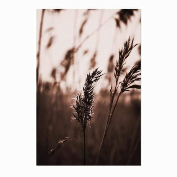 Whimsical Canvas Vintage Botanical Grass Wall Art Home Decor