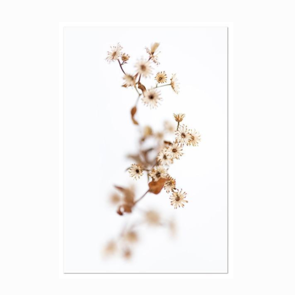 Whimsical Canvas Vintage Botanical Grass Wall Art Home Decor