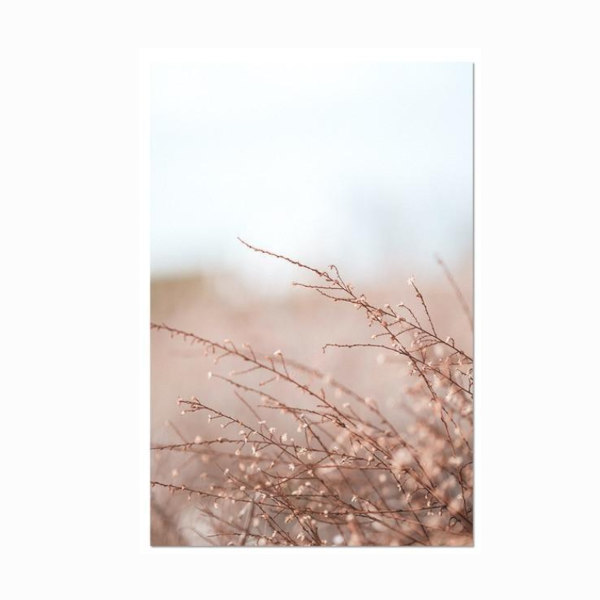 Whimsical Canvas Vintage Botanical Grass Wall Art Home Decor