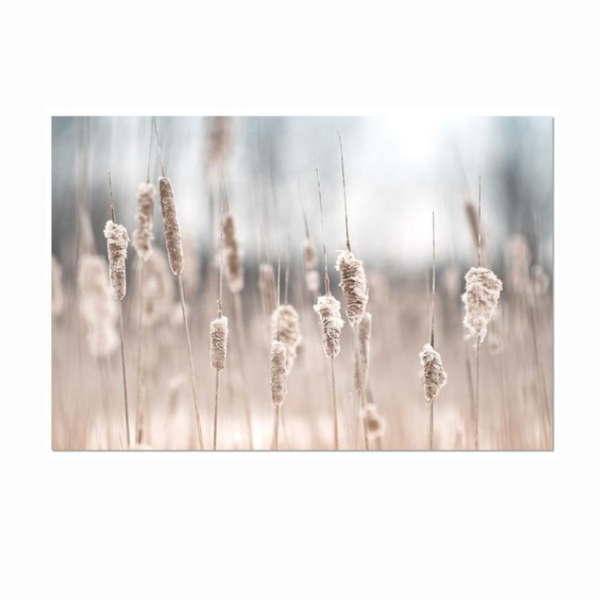 Whimsical Canvas Vintage Botanical Grass Wall Art Home Decor