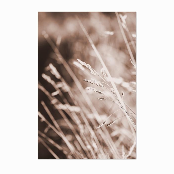 Whimsical Canvas Vintage Botanical Grass Wall Art Home Decor