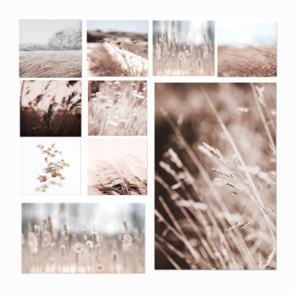 Whimsical Canvas Vintage Botanical Grass Wall Art Home Decor